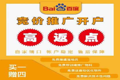 深度解析：百度推广代运营的成功要素